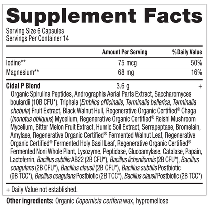 Cidal Inta Cidal P – Kingdom Health Sciences